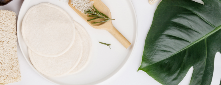 Ayurveda : l’écologie de la santé